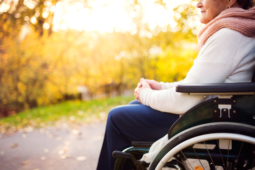 Elderly lady say in wheelchair looking at an autumn landscape